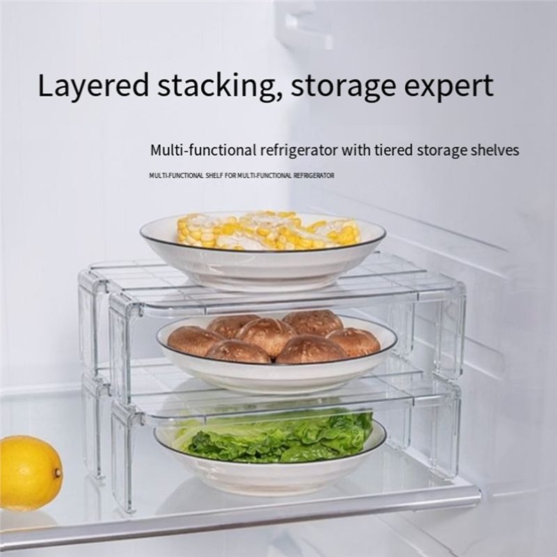ABMR-Складные прозрачные орган – обзор и цена Food Storage Management
